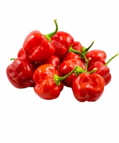 Alternative view of Red Savina Habanero