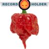 Carolina Reaper Pepper