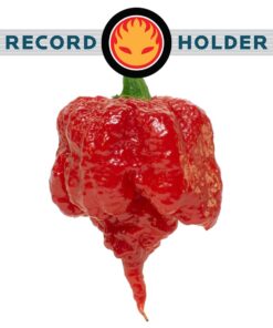 Carolina Reaper Pepper