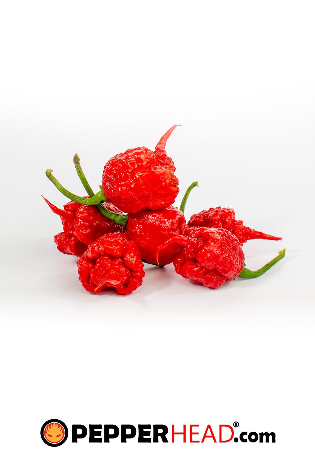 7 Pot Primo - Image 2