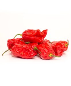 Alternative view of 7 Pot Chaguanas