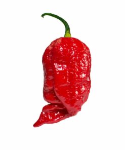 7 Pot Chaguanas
