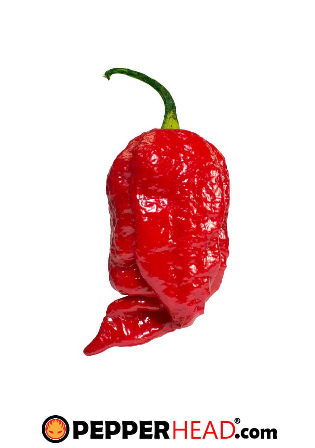 7 Pot Chaguanas