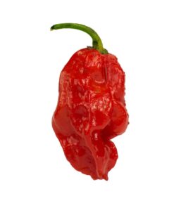 7 Pot Jonah
