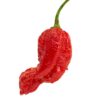 Fatalii Gourmet Jigsaw