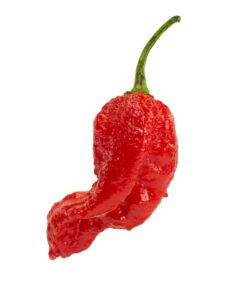 Fatalii Gourmet Jigsaw