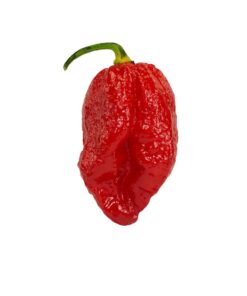 Red Bhutlah
