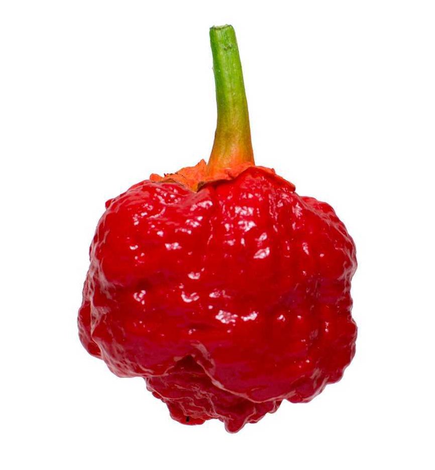 7 Pot Bubblegum