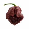 7 Pot Douglah