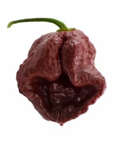 7 Pot Douglah