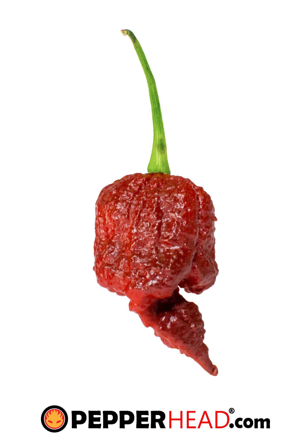 Big Black Mama (BBM)
