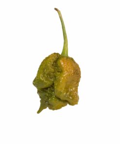 Alternative view of Big Mustard Mama