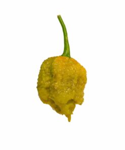 Big Mustard Mama