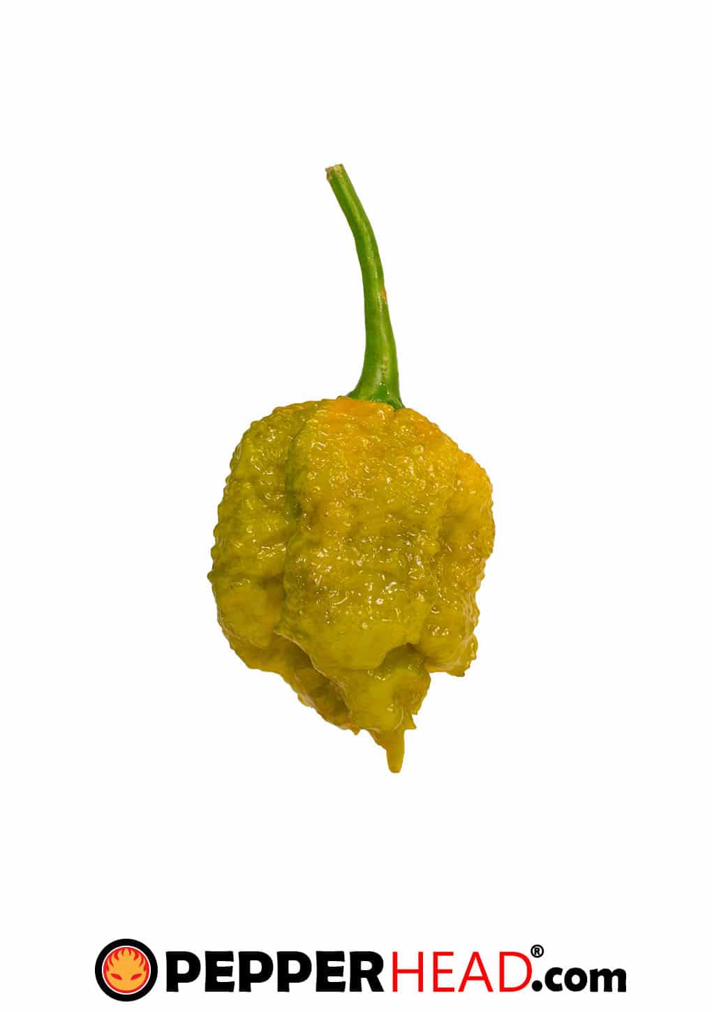 Big Mustard Mama
