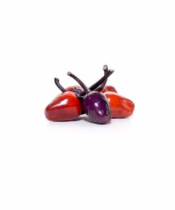 Alternative view of Black Scorpion Tongue
