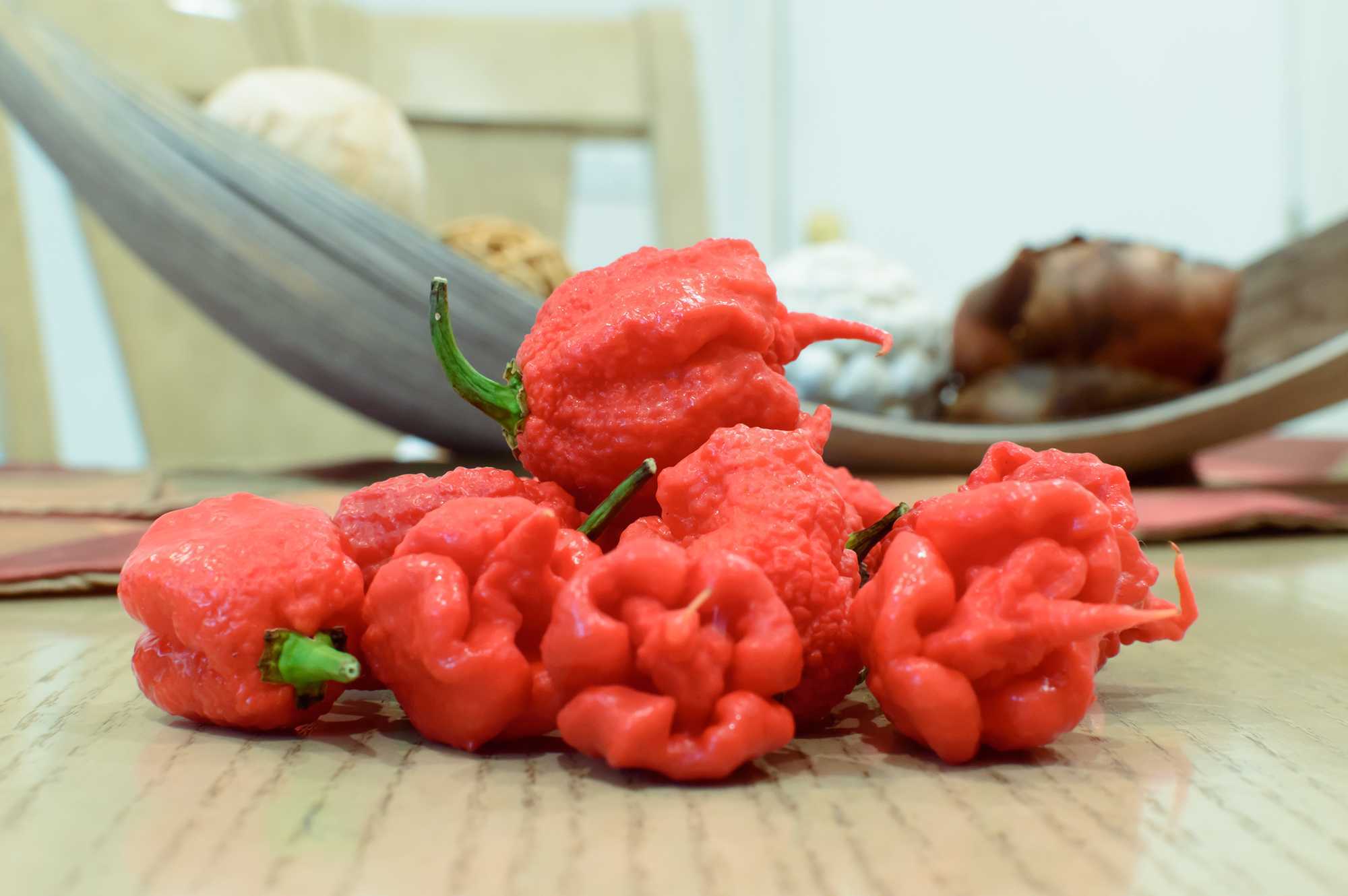 Carolina Reaper - Image 3