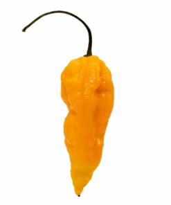 Fatalii