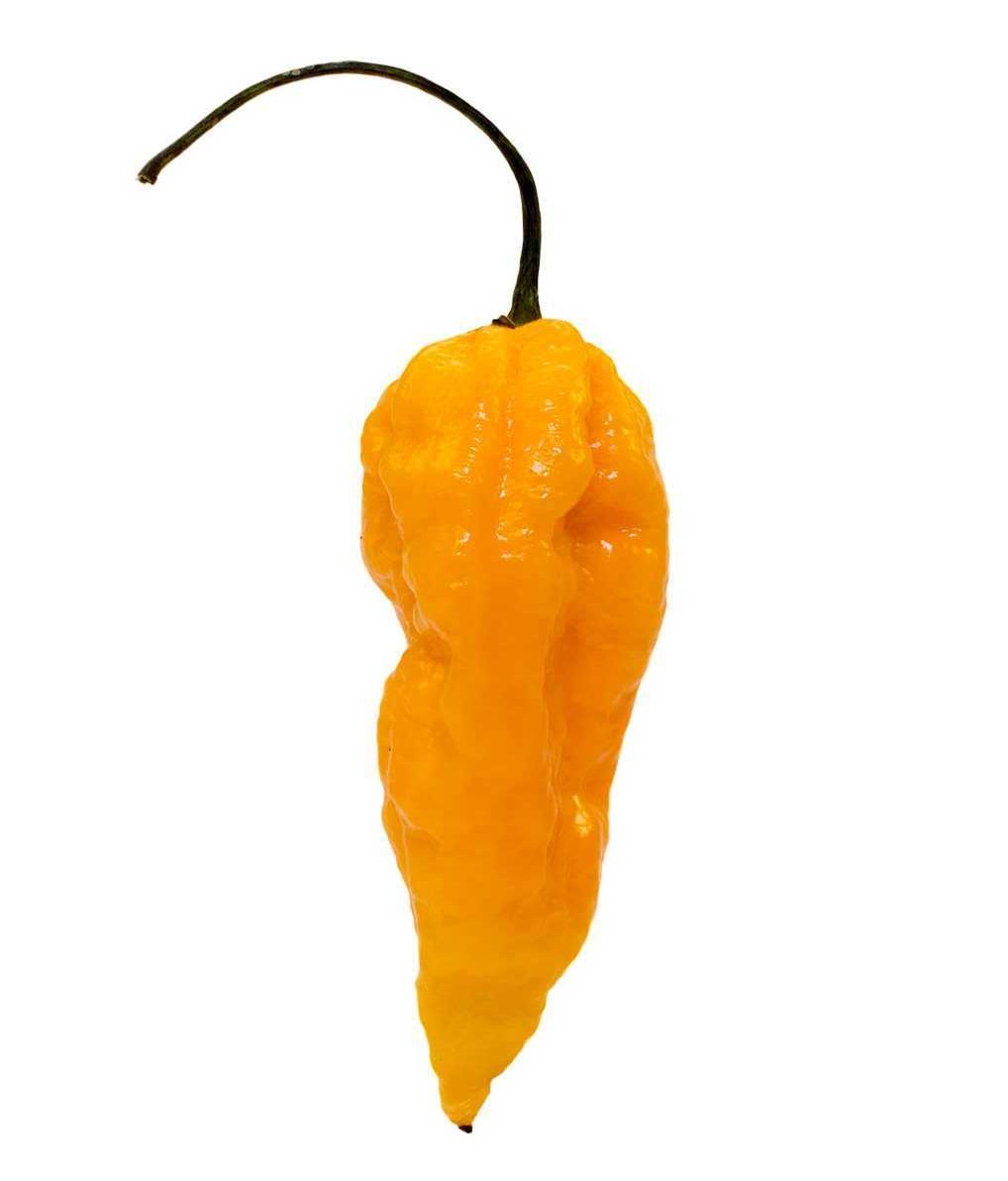 Fatalii