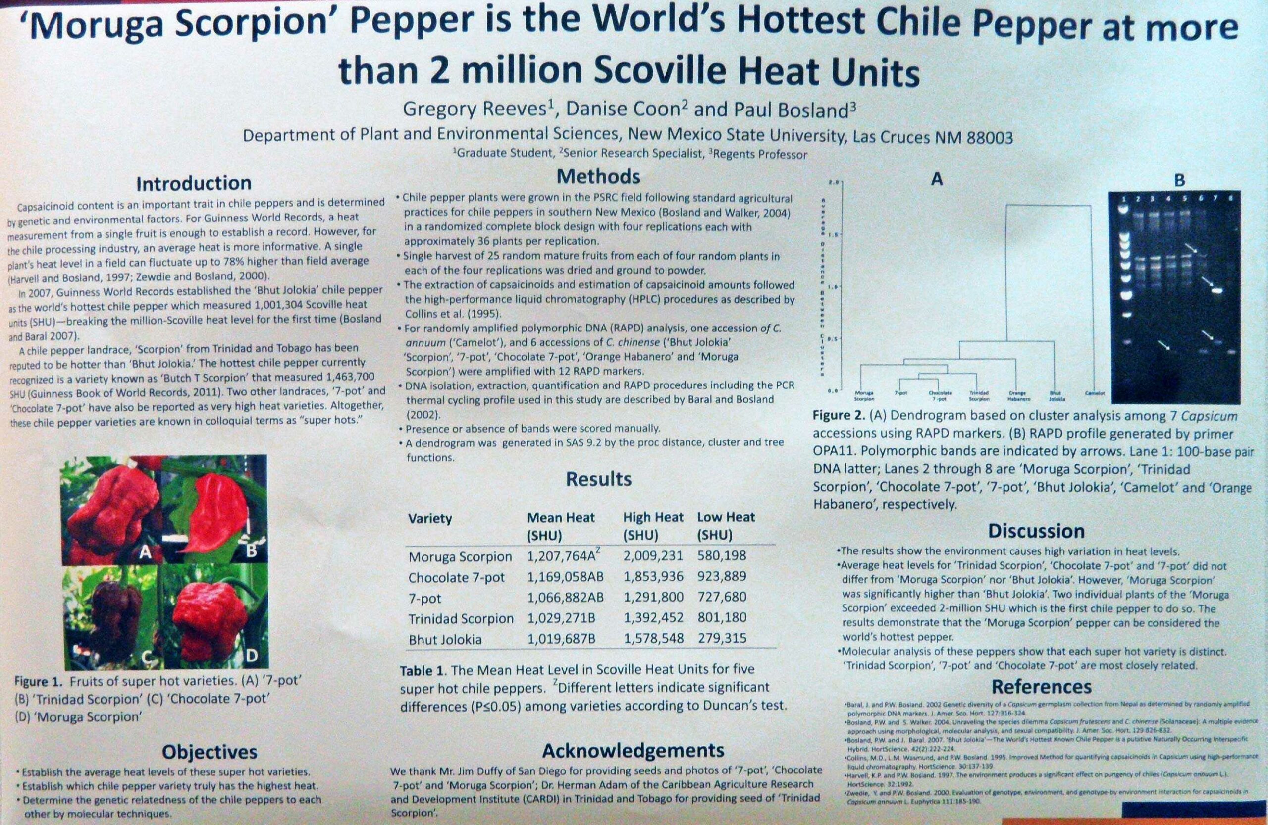 Trinidad Moruga Scorpion - Image 3
