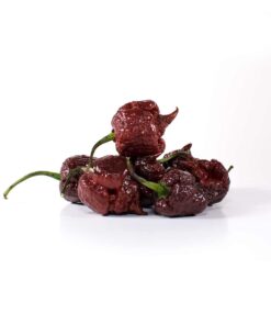 Alternative view of Chocolate Carolina Reaper