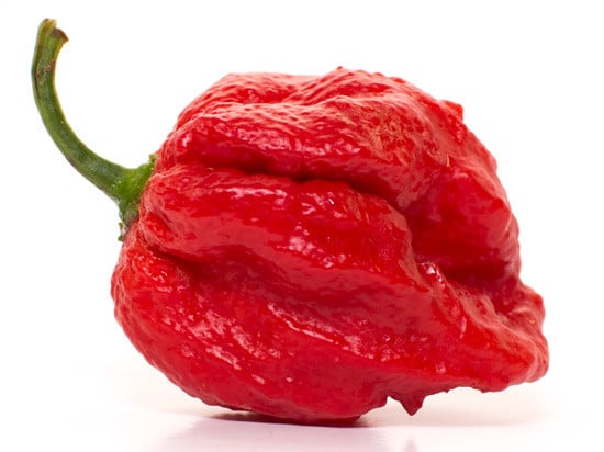 7 Pot Barrackpore