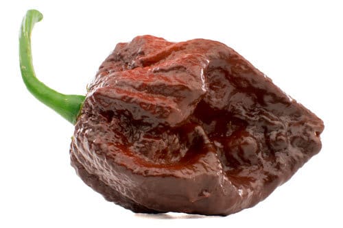 7 Pot Douglah Pepper