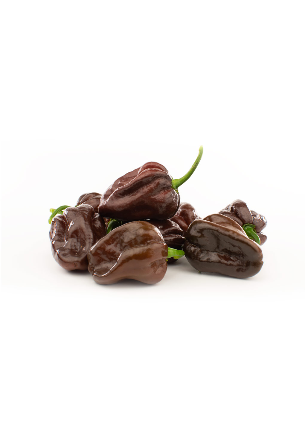 Chocolate Habanero - Image 2