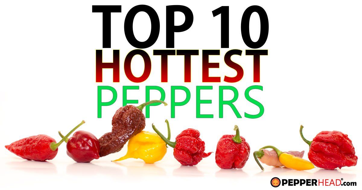 Top 10 World's Hottest Peppers