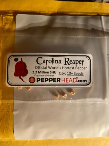 Click to view full screen Carolina Reaper photo review