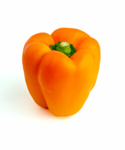 Orange Bell Pepper