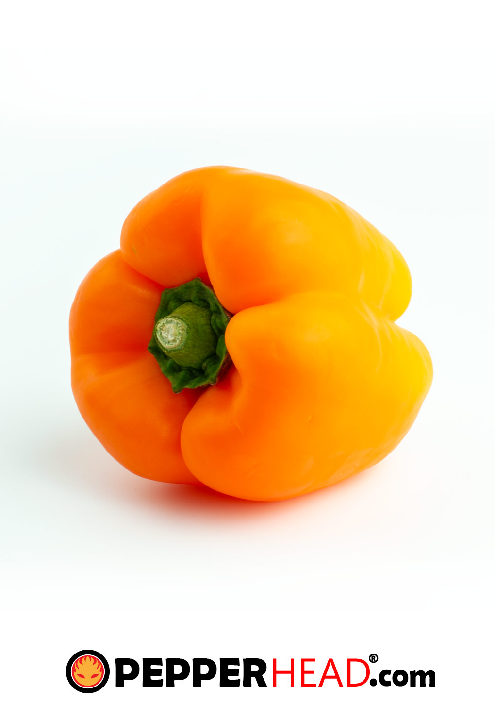 Orange Bell Pepper - Image 2