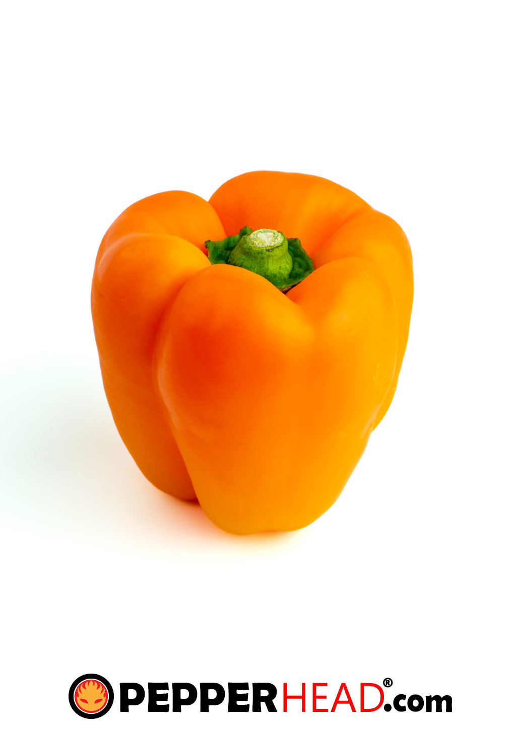 Orange Bell Pepper