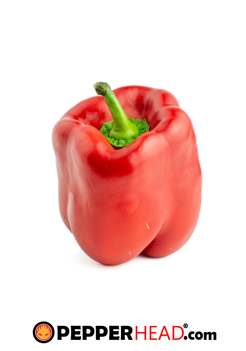 Red Bell Pepper