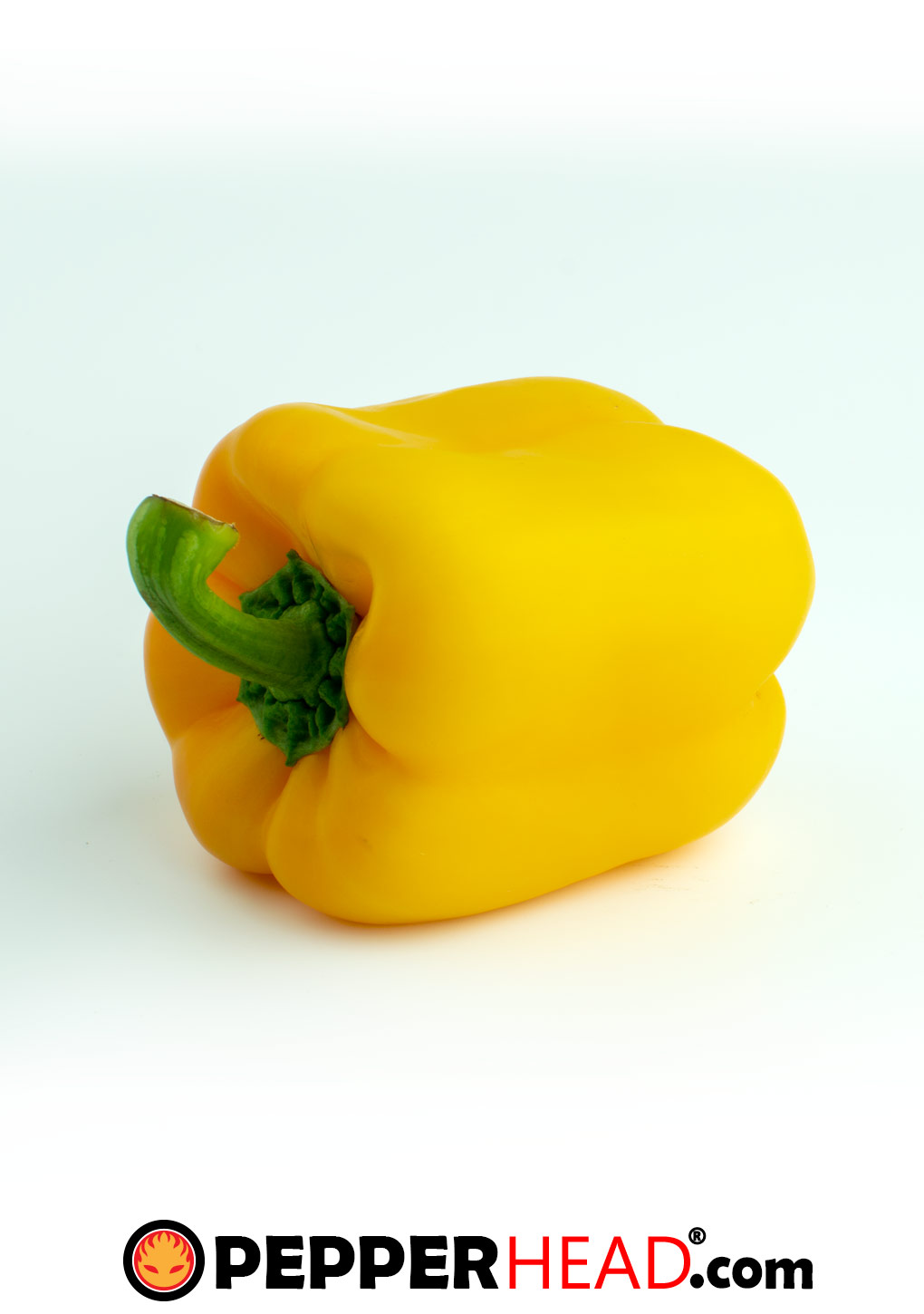 Yellow Bell Pepper on its Side