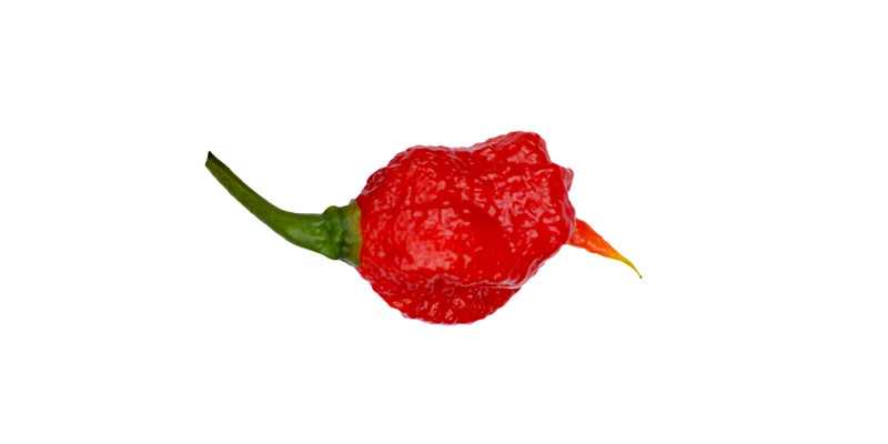 7 Pot Primo