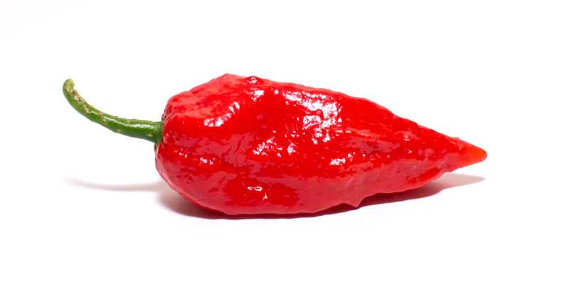 Ghost Pepper